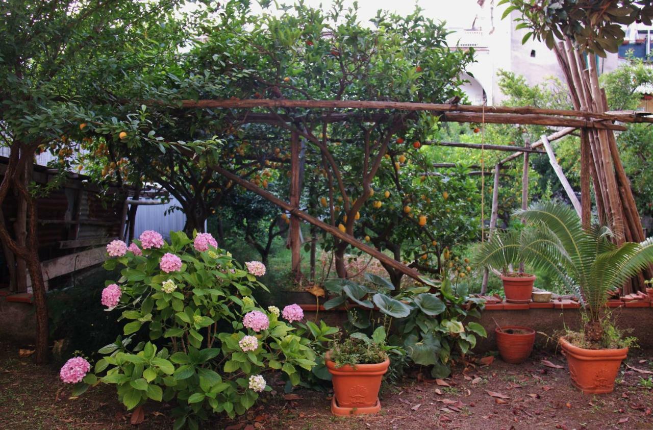 Day Dream Apartment Sorrento